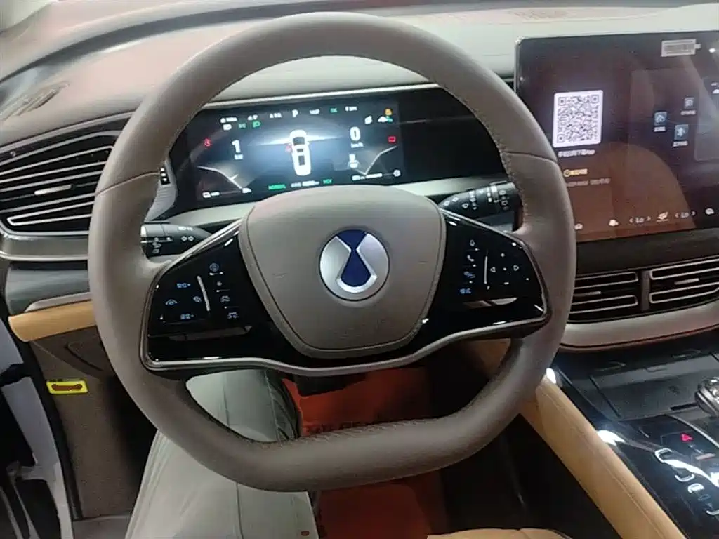 Denza D9 2022 DM-i 970 AWD Flagship фото 11