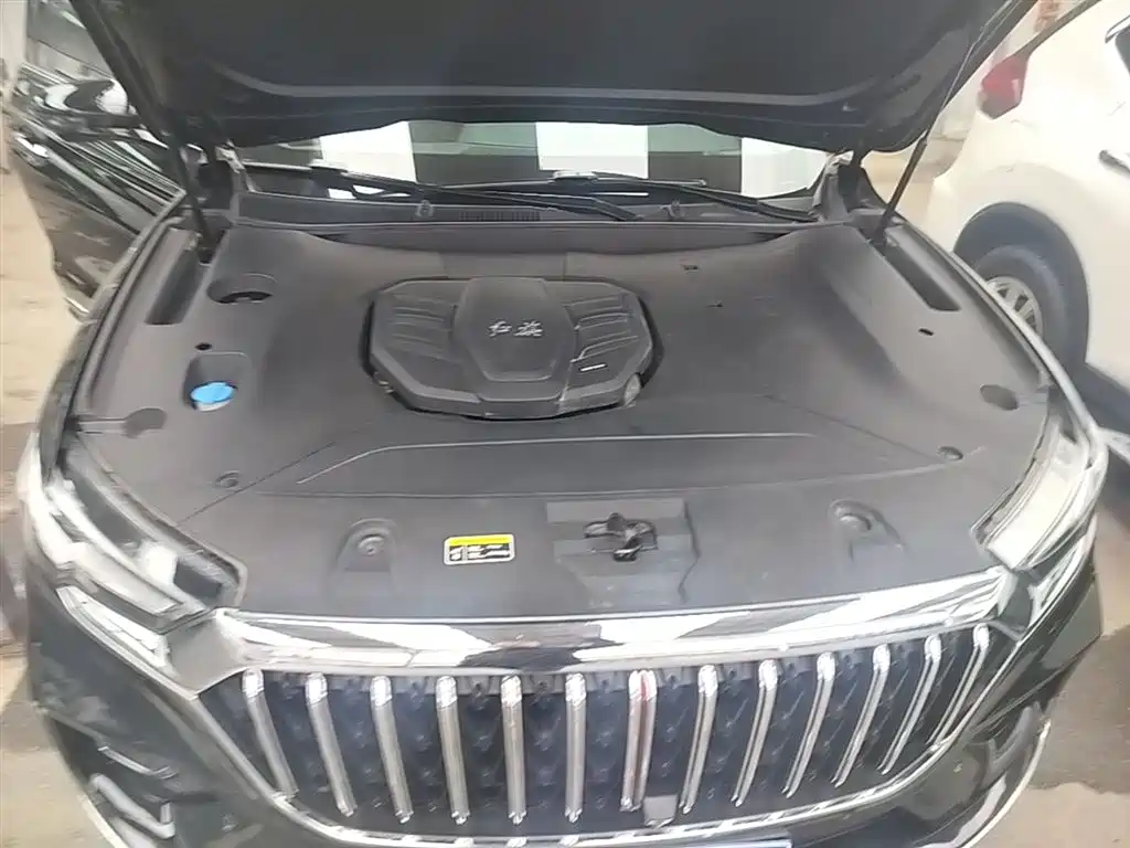 Hongqi HS5 2022 Facelift 2.0T Smart Flag Enjoyment Edition фото 20