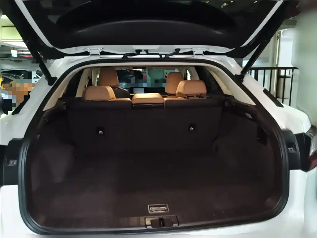 Lexus RX 2016 300 4WD Elegance Edition (China V) фото 20