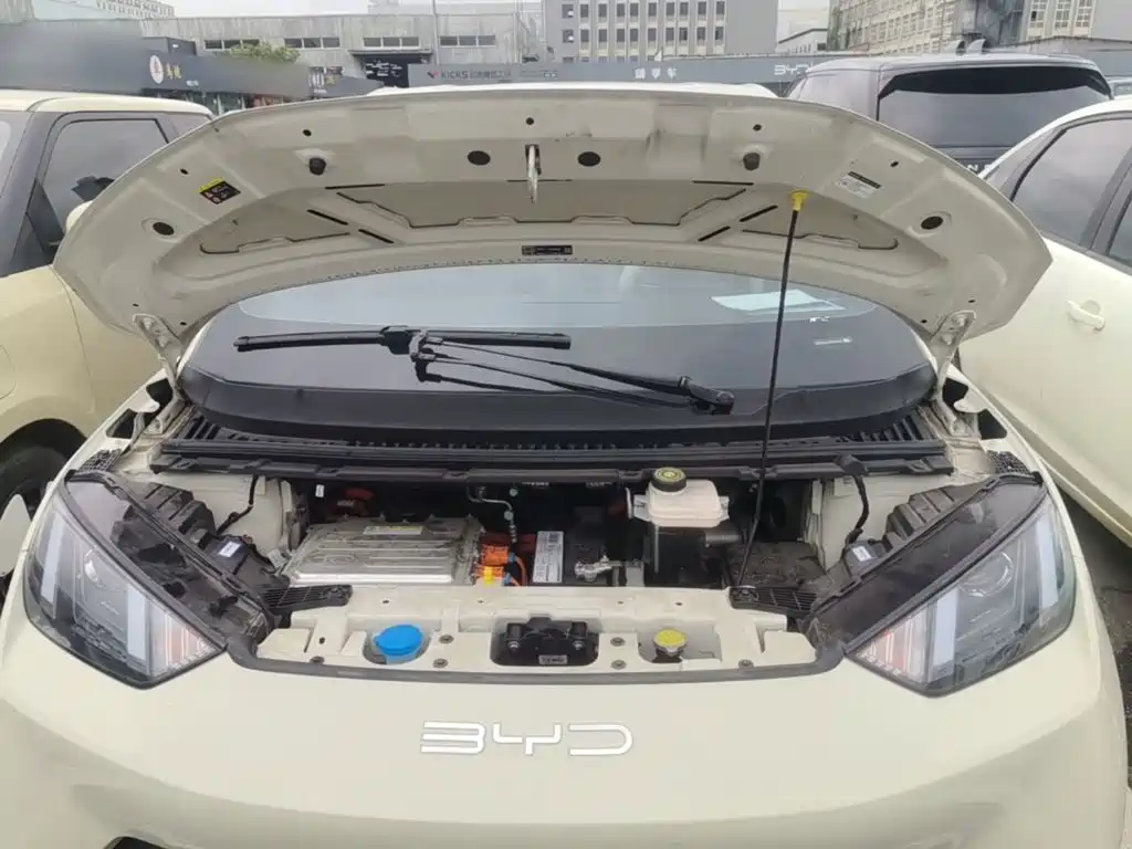 BYD Seagull 2023 2023 Vitality Edition