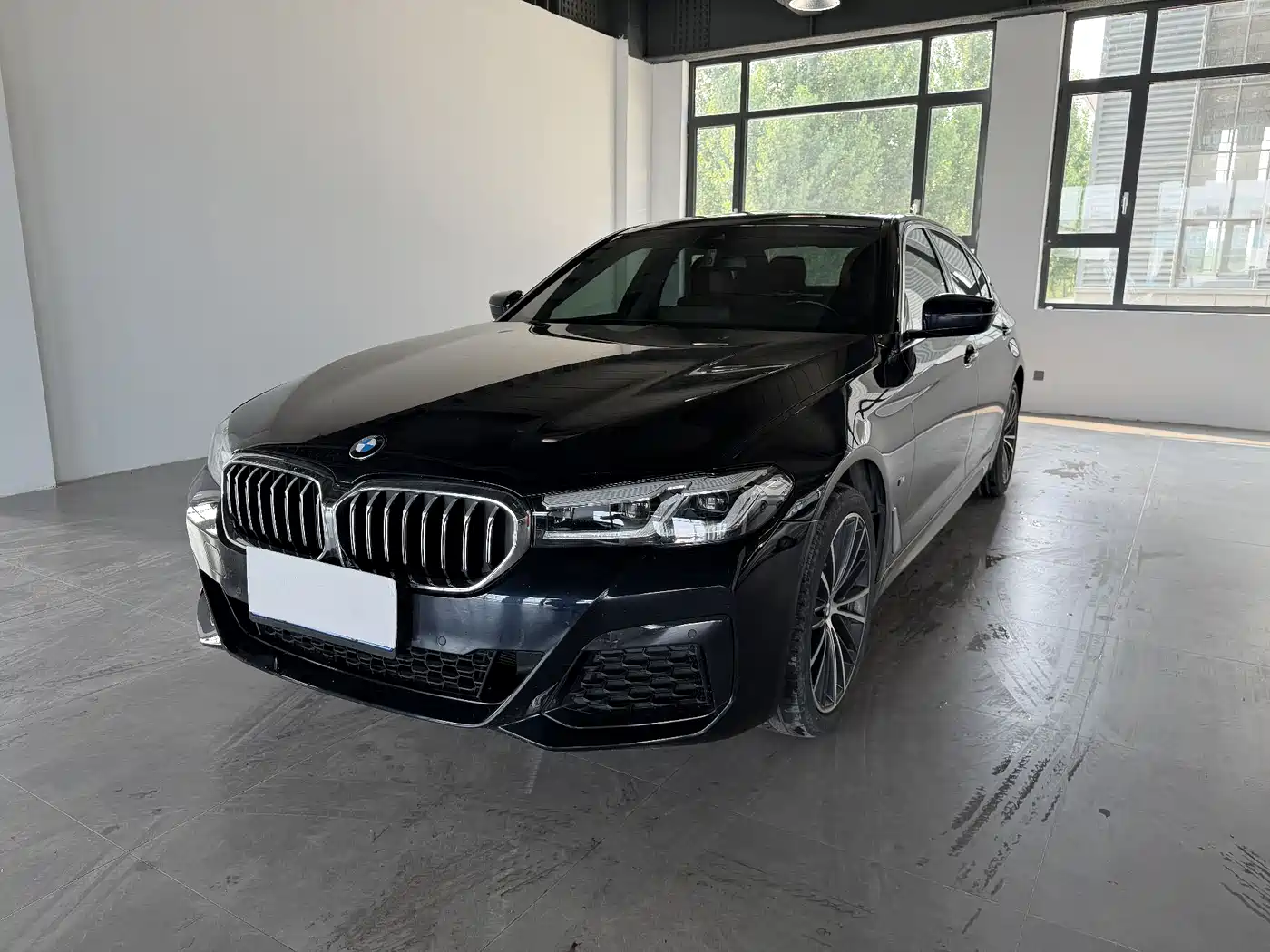 BMW 5 Series 2022 530Li Leading M Sport Package