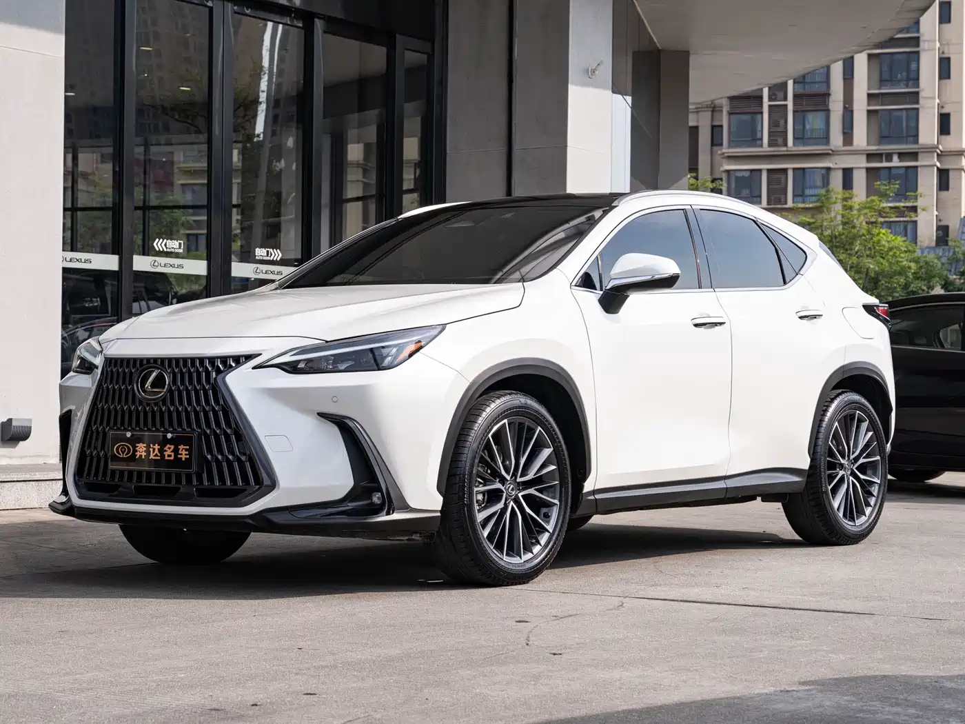 Lexus NX 2022 260 FWD Enjoy Creation Edition