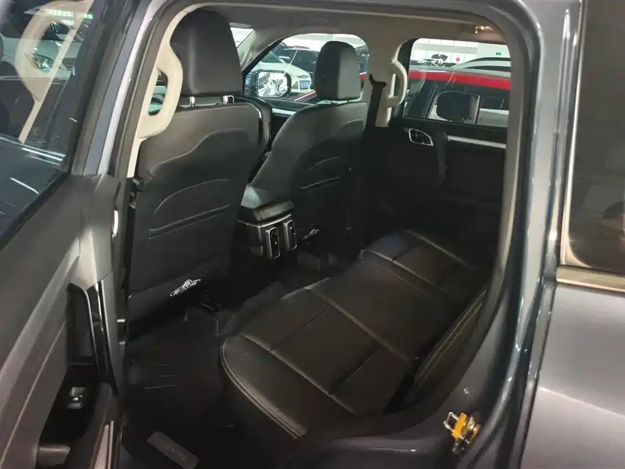Haval Big Dog 2021 1.5T DCT 2WD Border Collie Edition фото 11