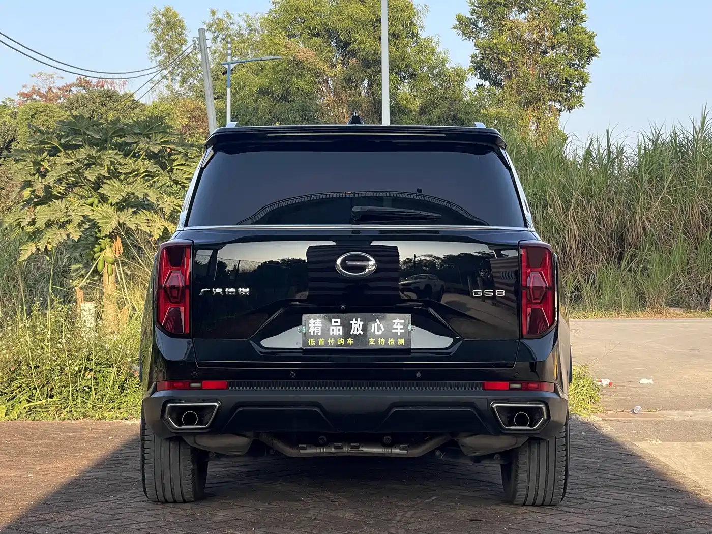 GAC Trumpchi Trumpchi GS8 2022 Pilot Series 2.0TGDI 2WD Luxury Smart Connect Edition (7-Seater) фото 6