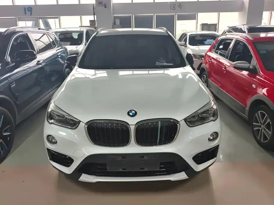 BMW X1 2016 sDrive20Li Luxury Model фото 2