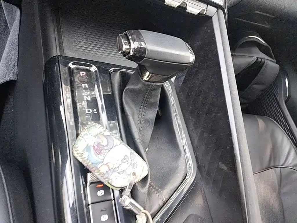 Baojun Valli 2021 2021 1.5T Nagqu Starry Sky CVT Flagship Model