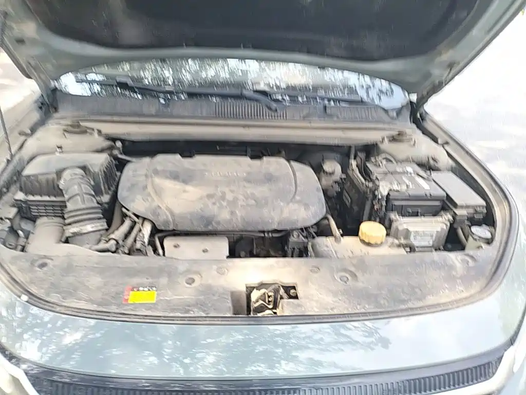 Baojun Valli 2021 2021 1.5T Nagqu Starry Sky CVT Flagship Model