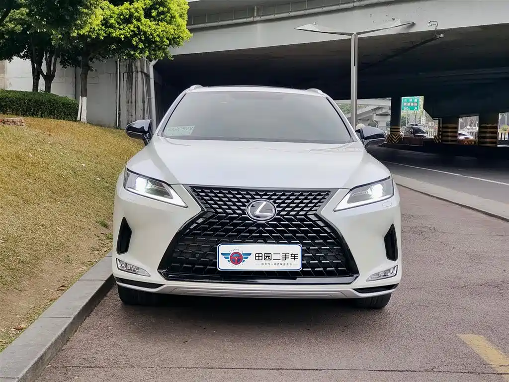 Lexus RX 2020 Facelift 300 2WD Elite Edition фото 2