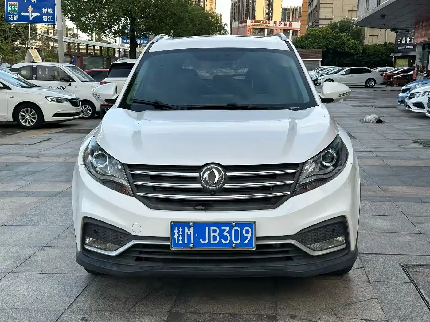 DONGFENG SCENERY 580