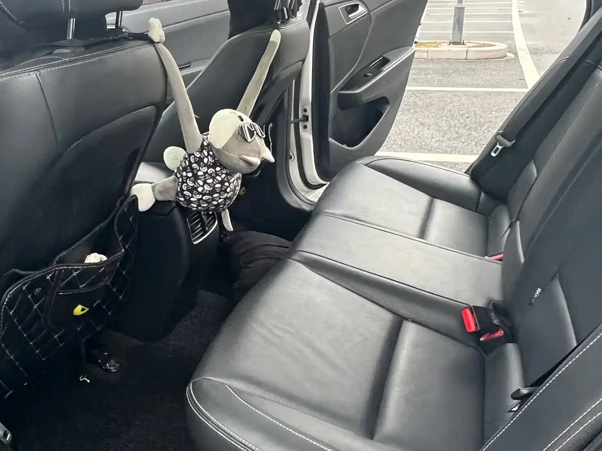 HYUNDAI NAME PICTURE