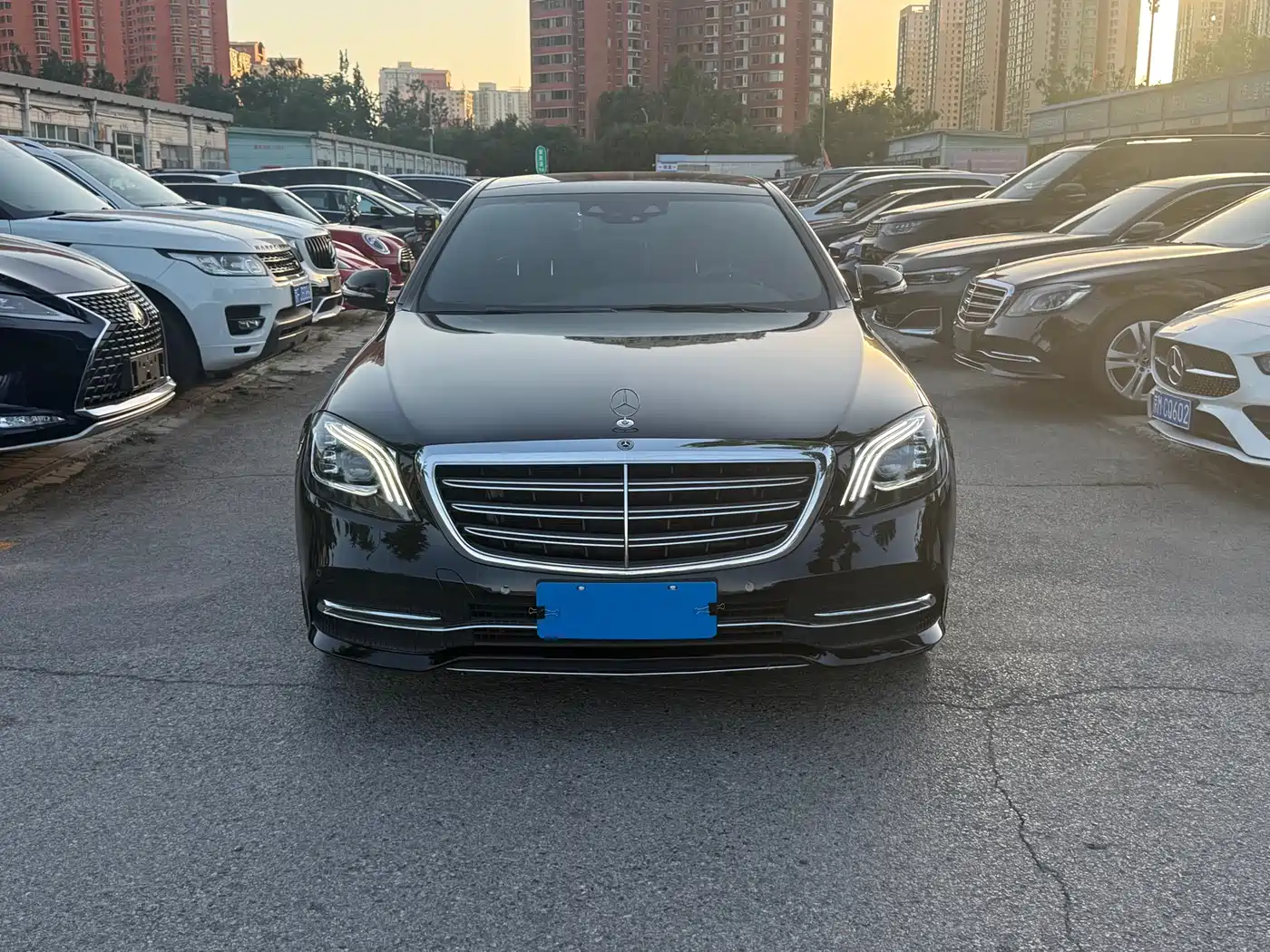 Mercedes-Benz S-Class 2020 S 350 L Business Edition Collector's Version фото 2