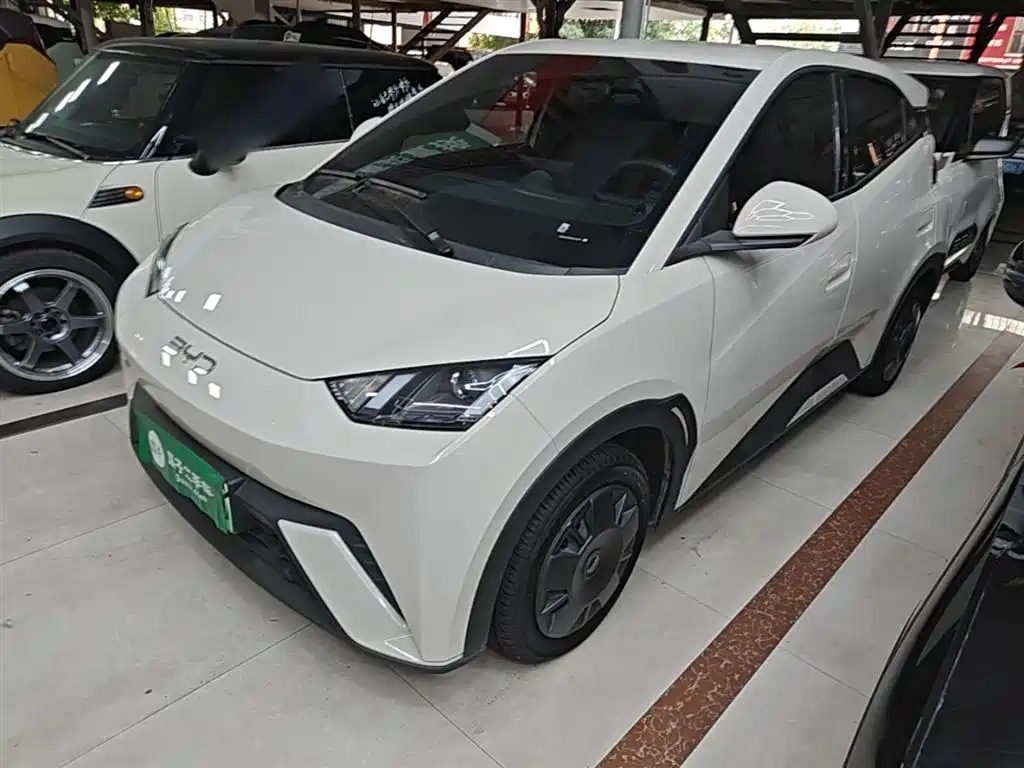 BYD Seagull 2024 Glory Edition 305km Vitality Edition