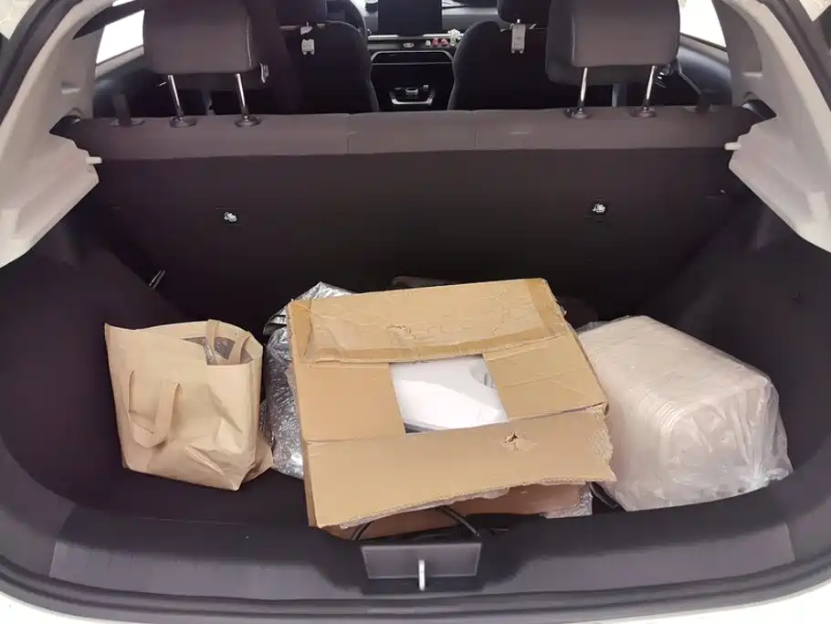 BYD e2 2020 2020 Upgrade Standard Range Standard Model