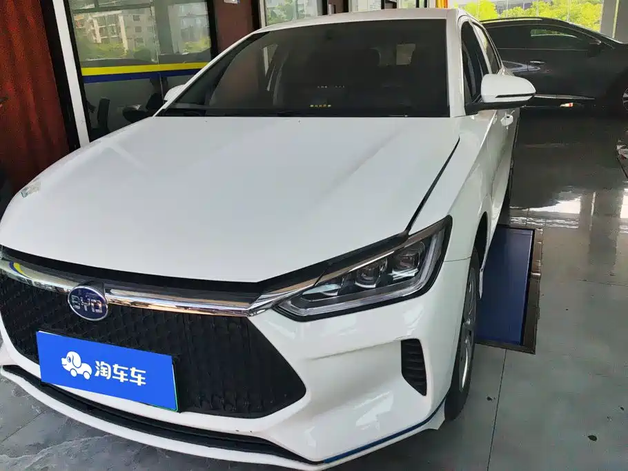 BYD e2 2020 2020 Upgrade Standard Range Standard Model