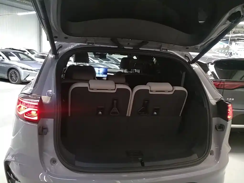 صورة 19 - BYD Tang New Energy