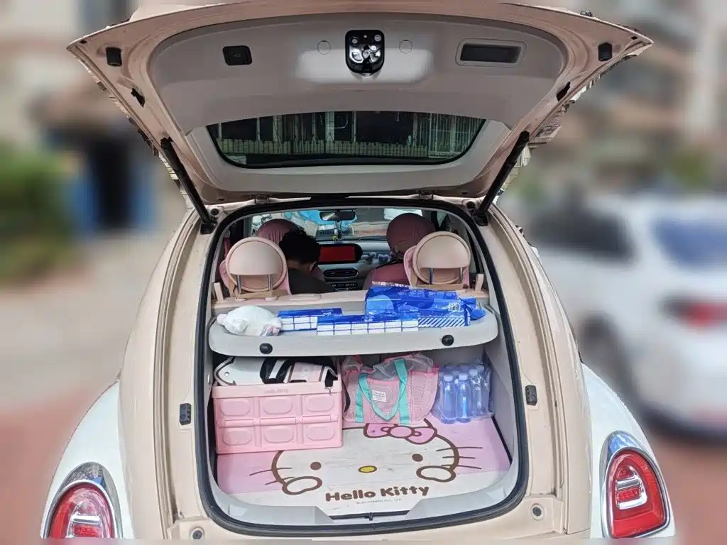 Ora Ballet Cat 2024 2023 500km Premium Model