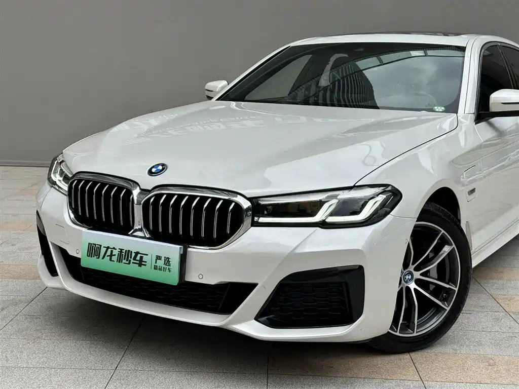 BMW 5 SERIES NEW ENERGY