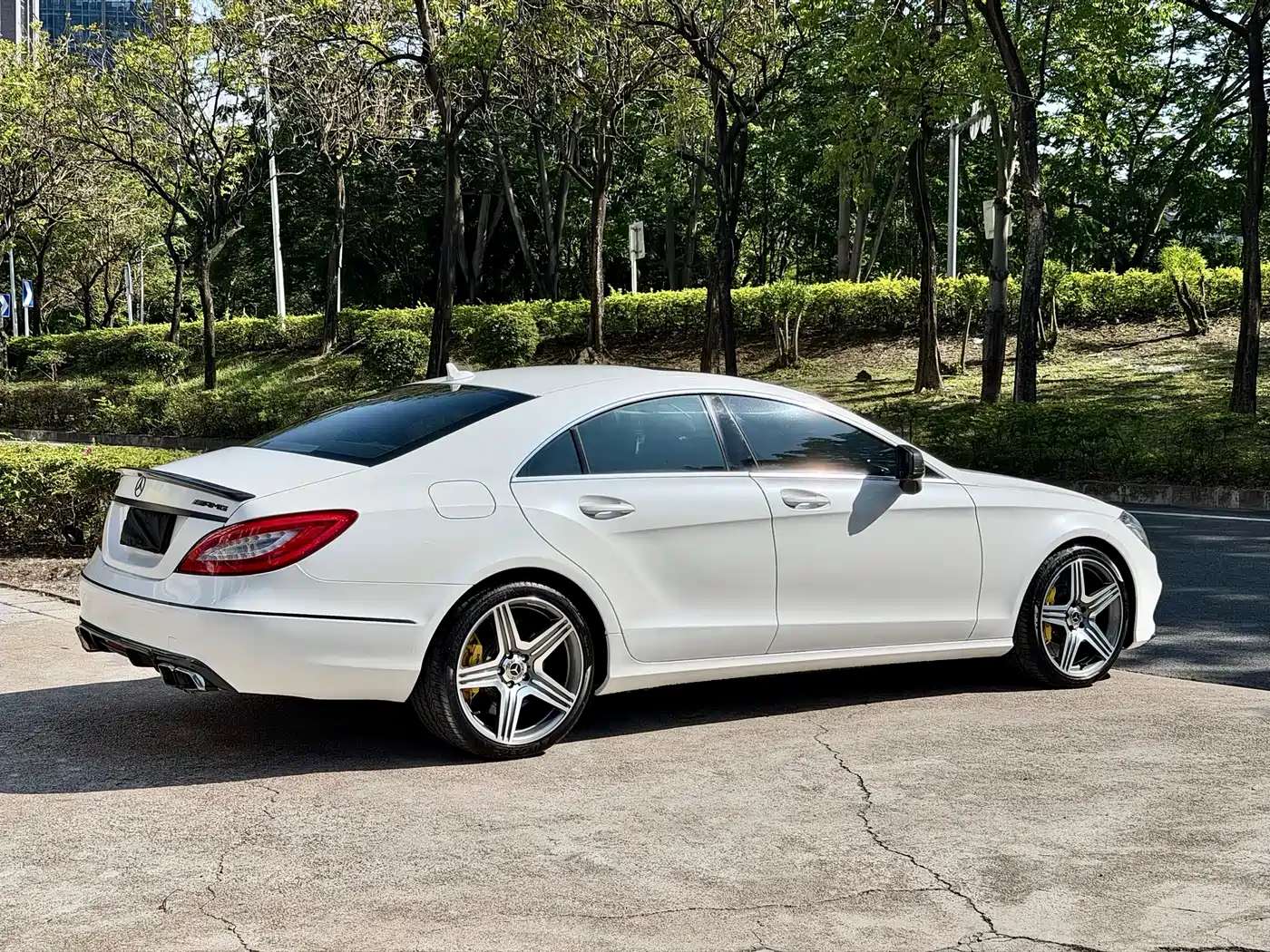 Mercedes-Benz CLS 2012 CLS 300 CGI фото 7