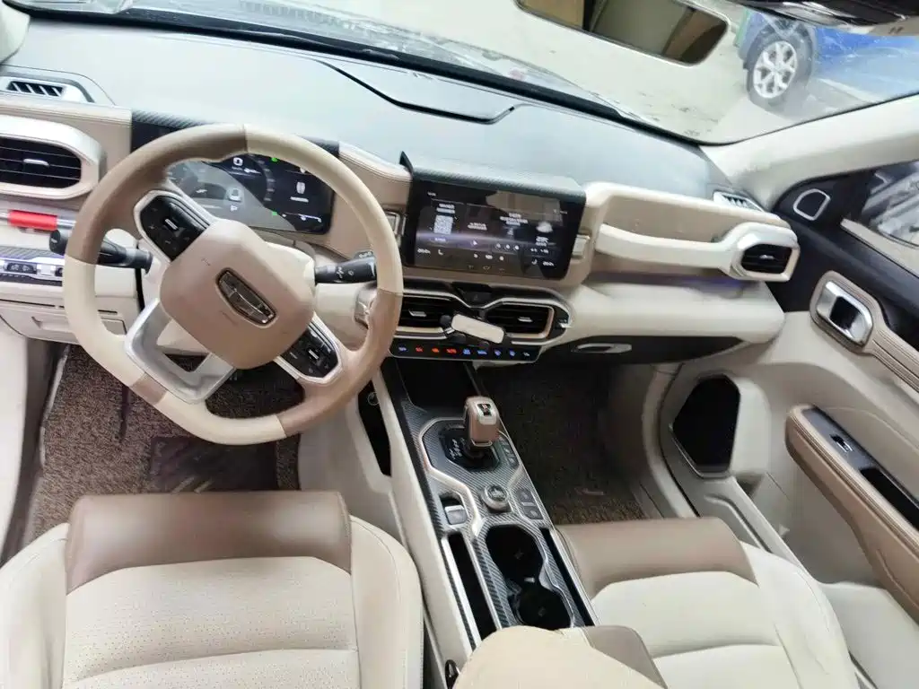 Фото 11 - Geely ICON