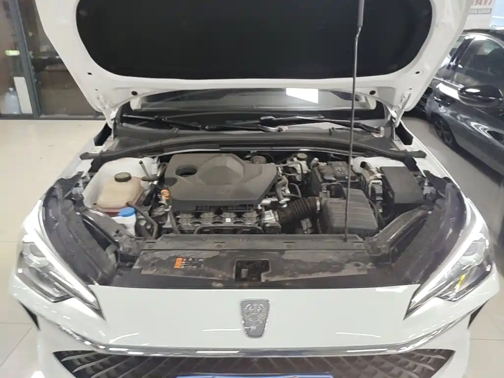 Фото 20 - Roewe i5