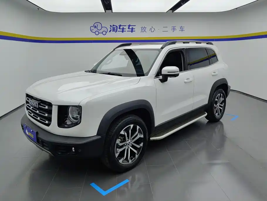 Haval Big Dog 2021 1.5T DCT 2WD Border Collie - Wangcai Edition