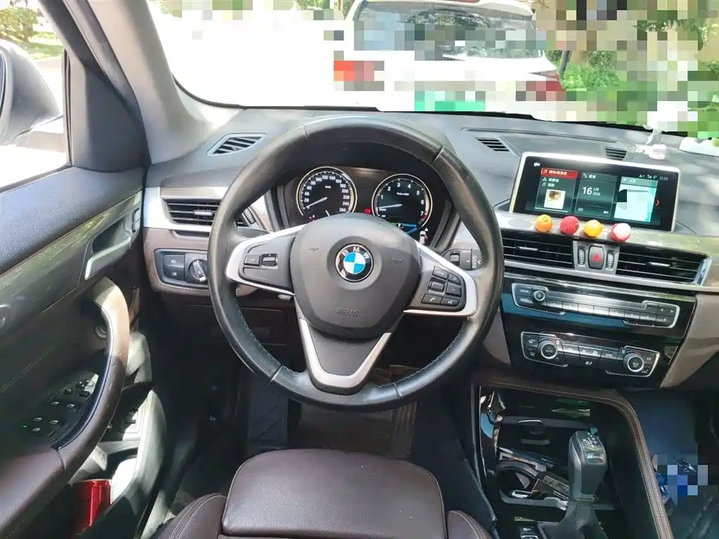 BMW X1 New Energy 2019 xDrive25Le Range Upgrade Edition фото 3