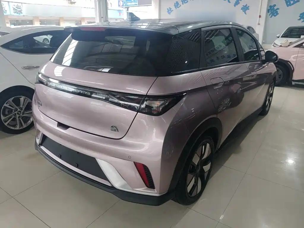 BYD Dolphin 2022 2021 401km Knight Edition