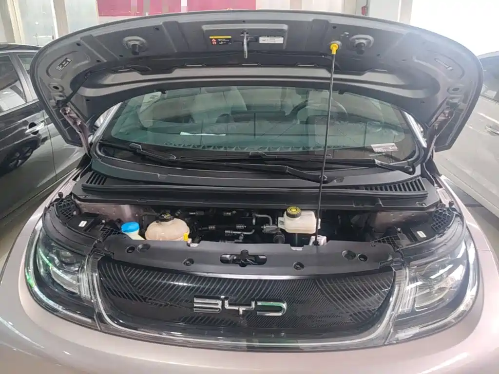 BYD Dolphin 2022 2021 401km Knight Edition