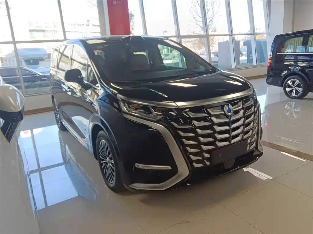 Denza D9 2025 DM-i Smart Drive Edition 1020 AWD Premium фото 22