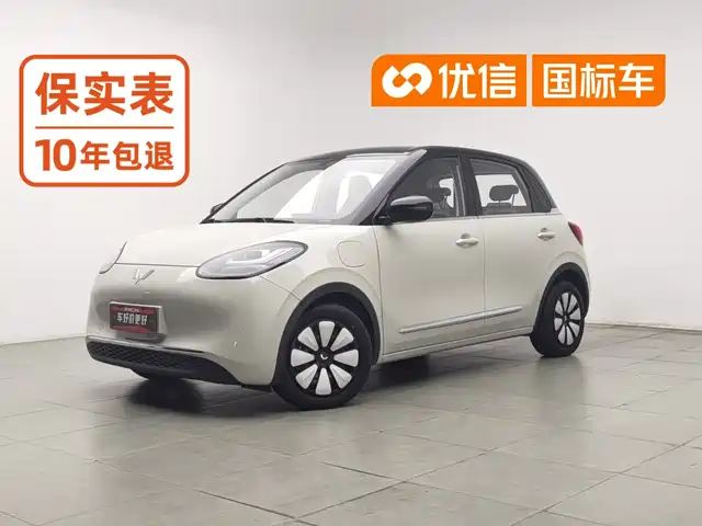 Wuling Motors Wuling Bingo 2024 333km Smart Connect Edition