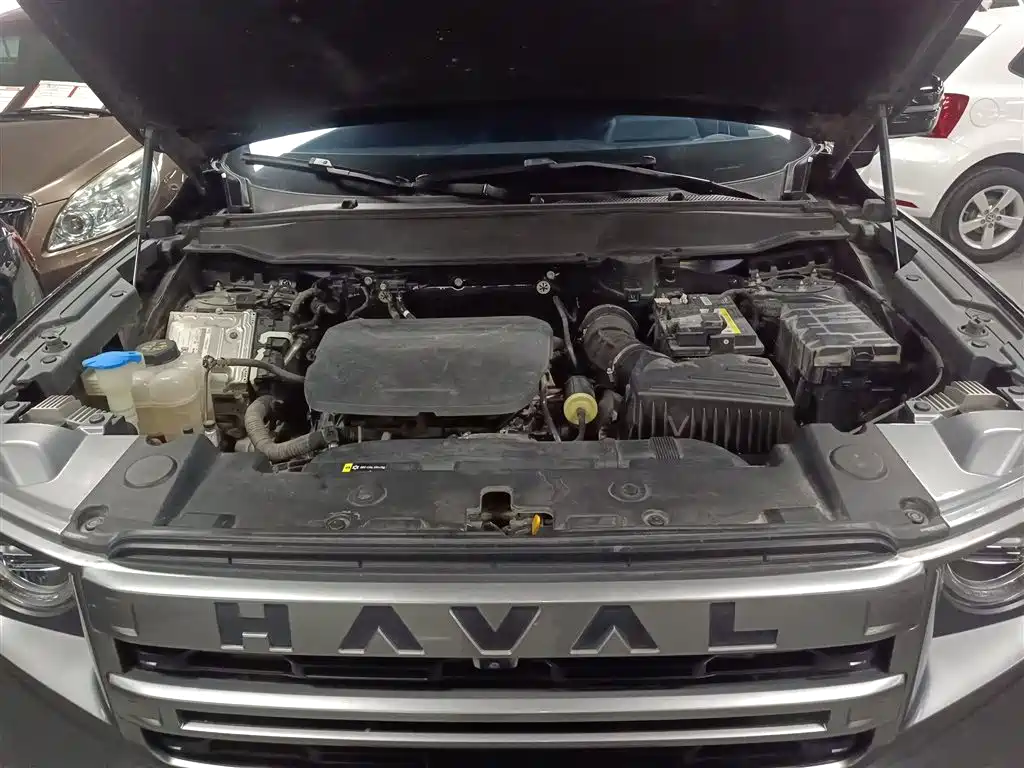 Haval Big Dog 2024 1.5T DCT Border Collie Edition фото 16