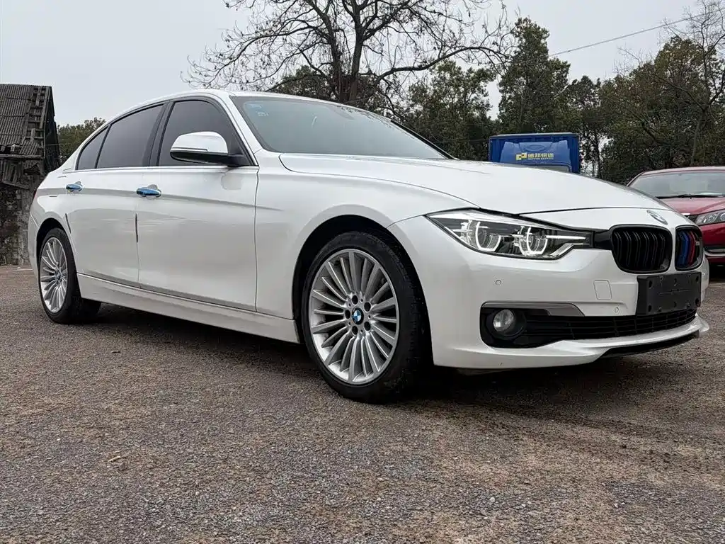 BMW 3 Series 2018 320Li Fashion Style фото 3