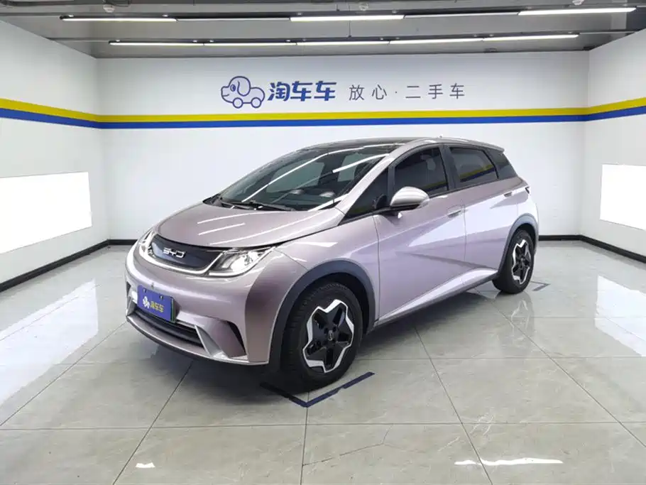 BYD Dolphin 2021 Model 405km Fashion Edition