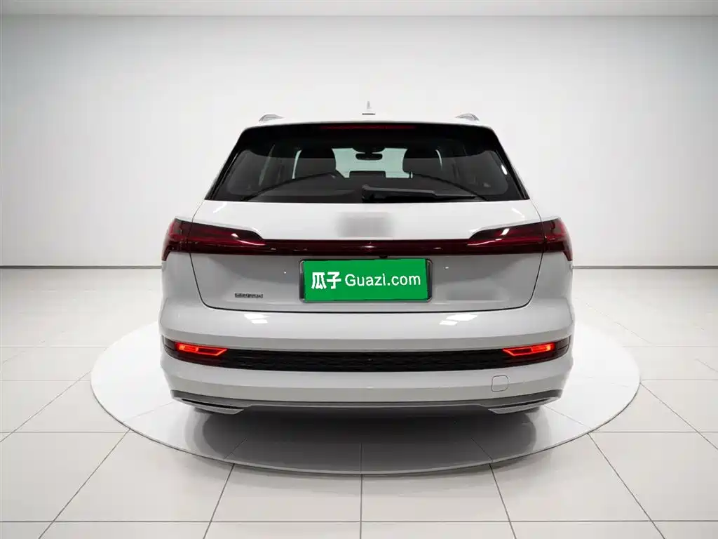 Audi e-tron (Import) 2019 55 quattro Technology фото 5