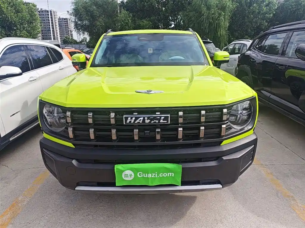 Haval Cool Dog 2022 1.5T DCT 4WD Adventure Edition фото 3