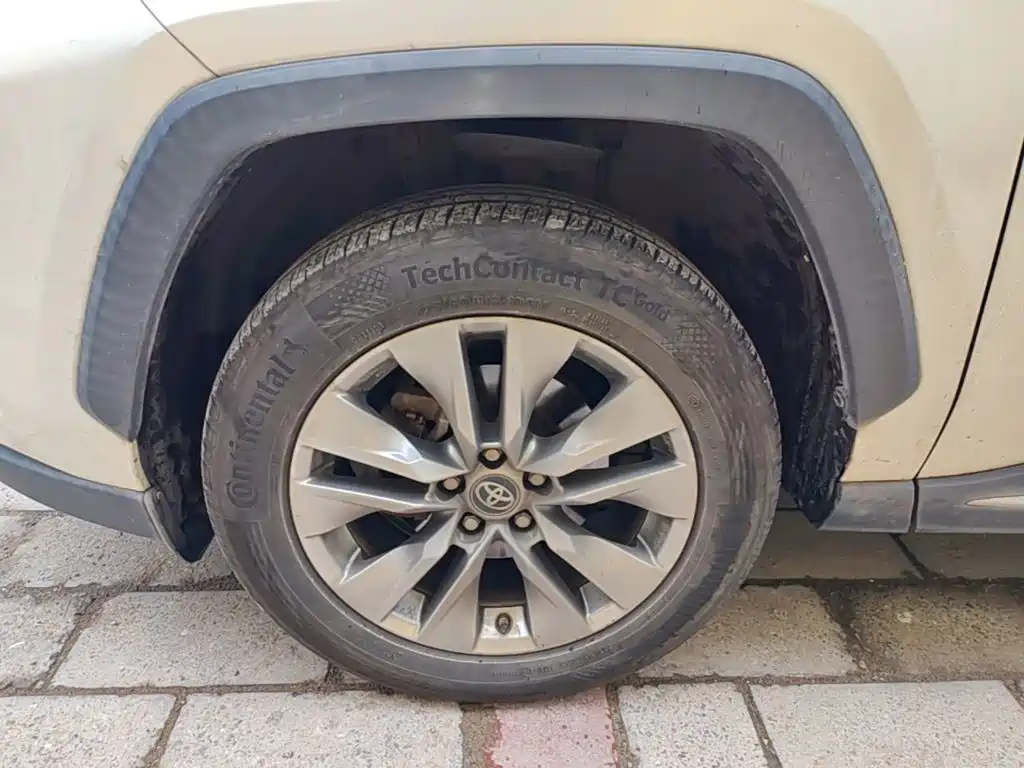 Toyota Wildlander 2020 2020 2.0L CVT 2WD Luxury Edition