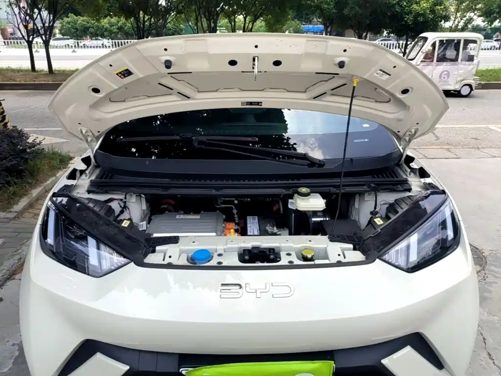  BYD Seagull 2023 Freedom Edition 20