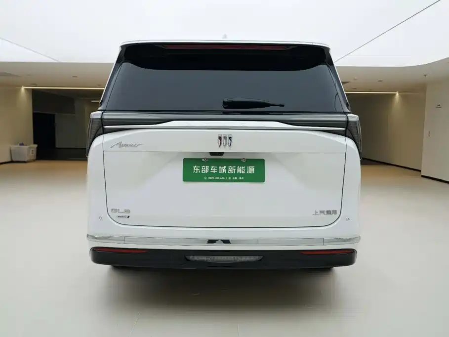 Фото 4 - Buick GL8 New Energy