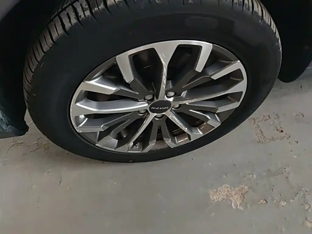 Haval H6 2020 1.5GDIT Automatic Platinum Champion Edition фото 23