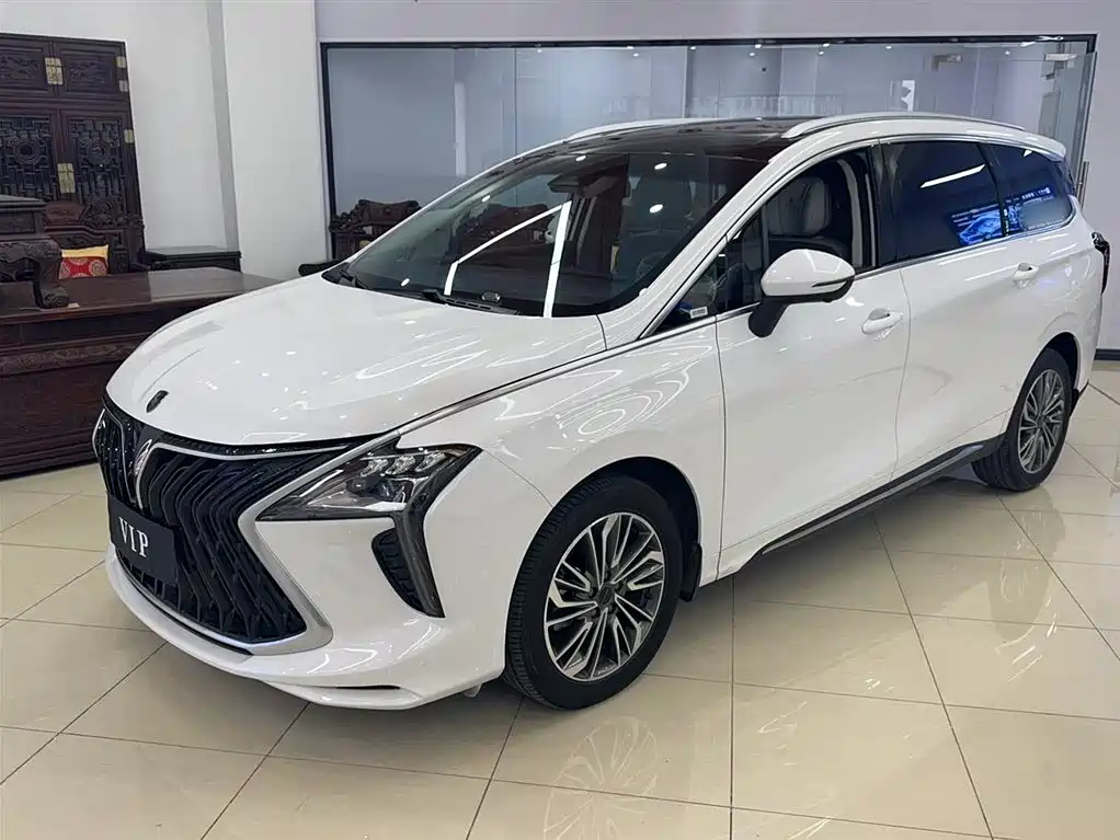 DONGFENG POPULAR POPULAR YACHTS 2024