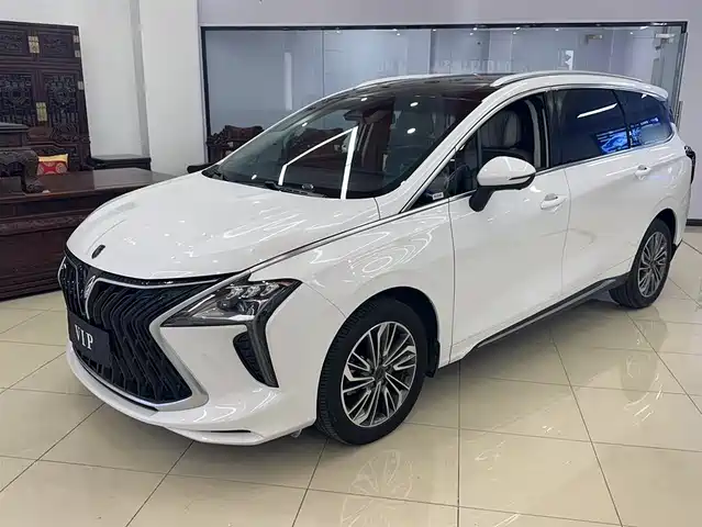 DONGFENG POPULAR POPULAR YACHTS 2024