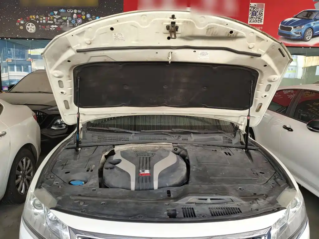 Фото 20 - Geely Borui