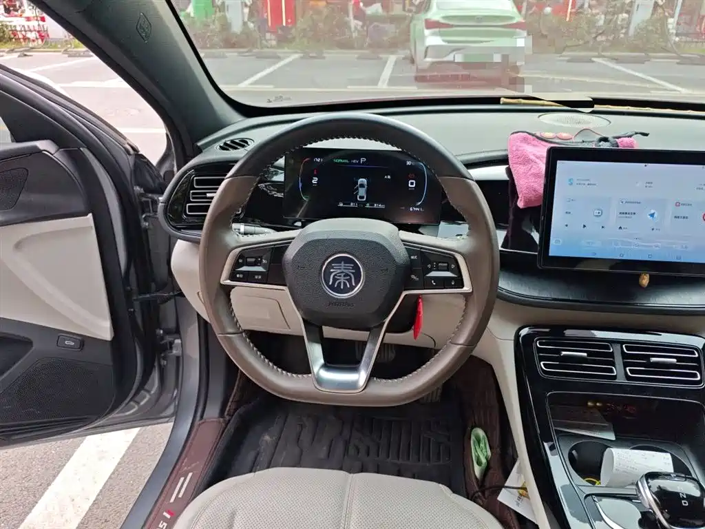 BYD Qin PLUS 2024 Glory Edition DM-i 55KM Leading фото 6
