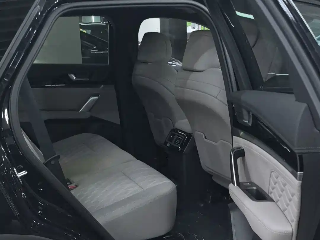 BYD Tang New Energy 2026 2026 DM-i 115KM Premium