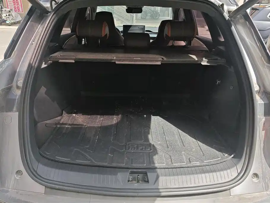 BYD Song Pro New Energy 2023 Champion Edition DM-i 110KM Excellence фото 4