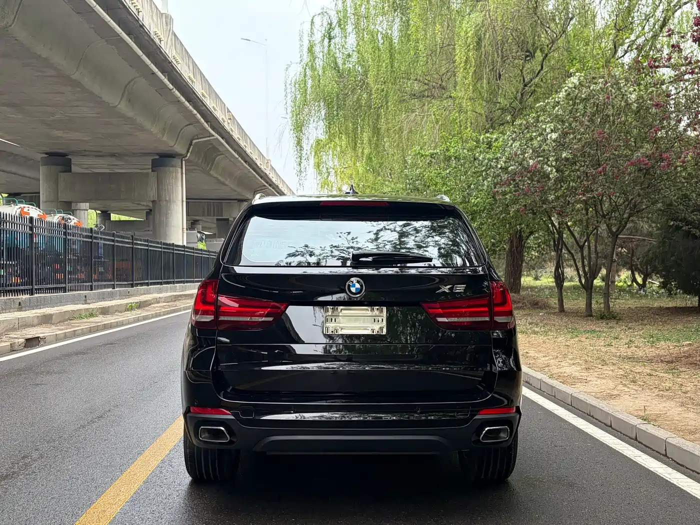BMW X5 (Import) 2017 xDrive35i Elegance фото 3
