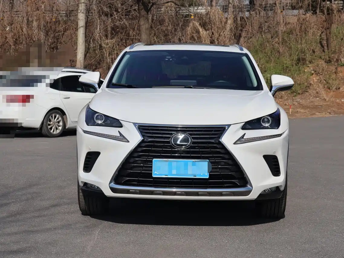 Lexus NX 2018 Model 200 AWD Fengshang Edition China V фото 2