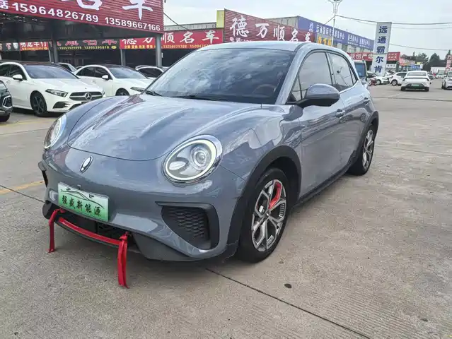 Ora Ora Good Cat GT 2022 Model Mulan Edition 401km Standard Range