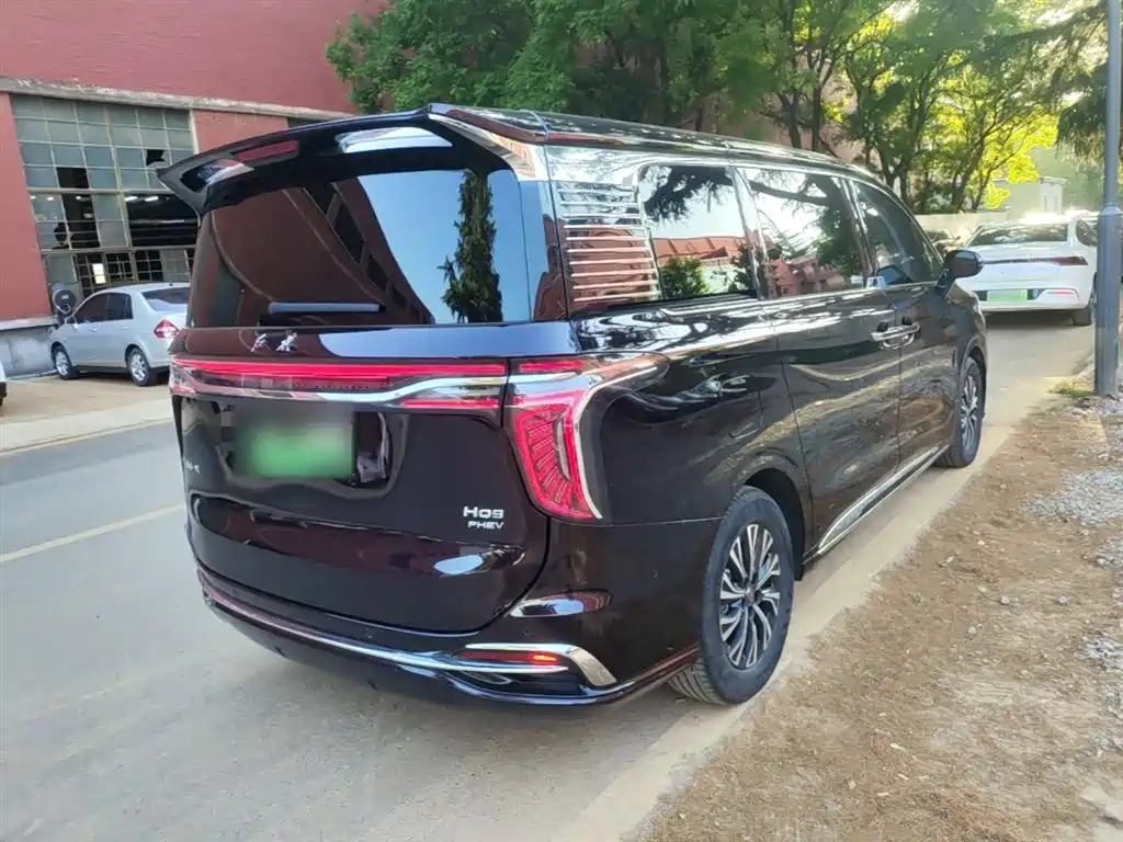 Hongqi HQ9 PHEV 2024 Model 2.0T AWD Luxury Edition фото 7
