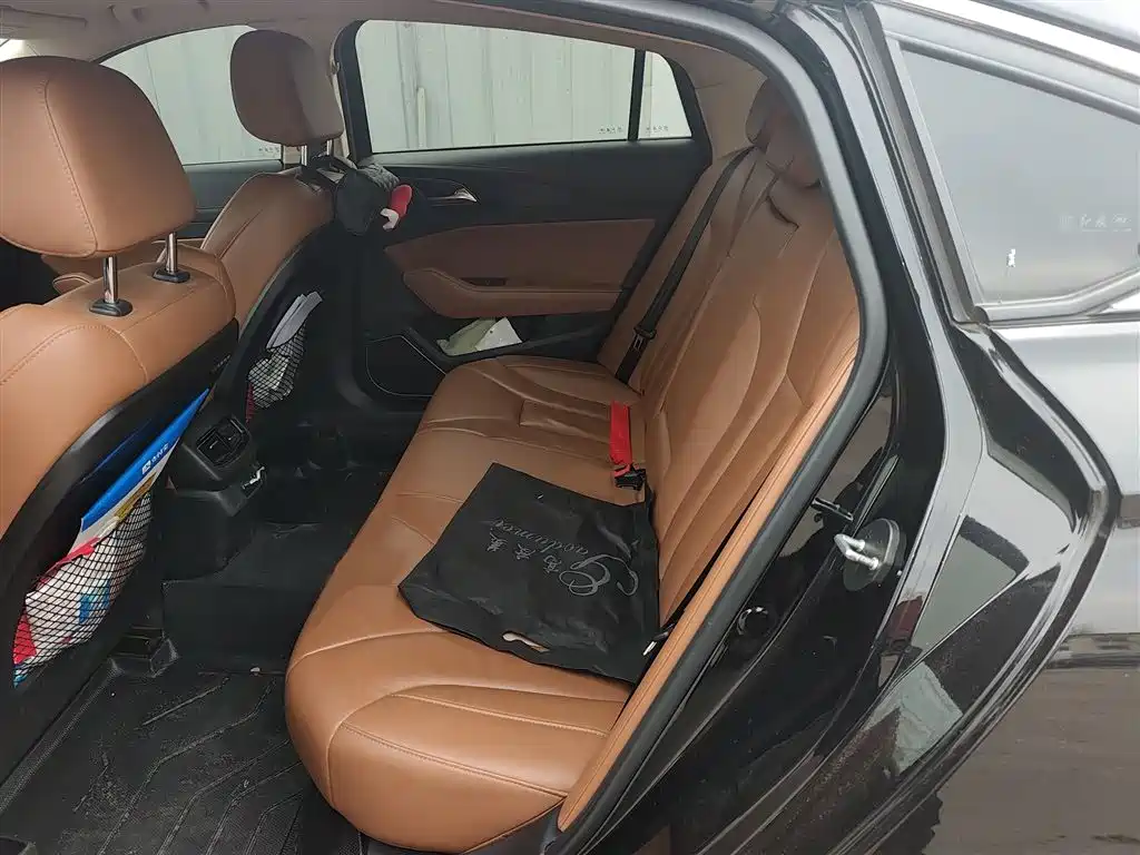 Hongqi H5 2019 30TD Style Edition фото 15